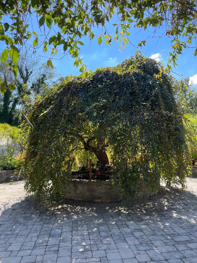 Customer photo of work by Bullington Gardens, from Hillary Hawkins's review