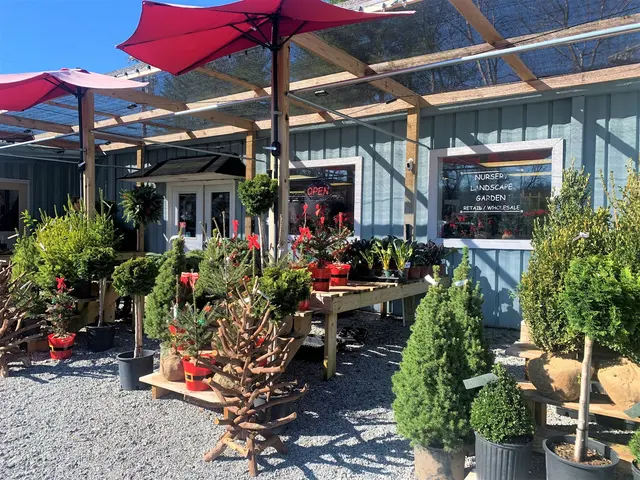 Starting Gardens — photo from the business 7