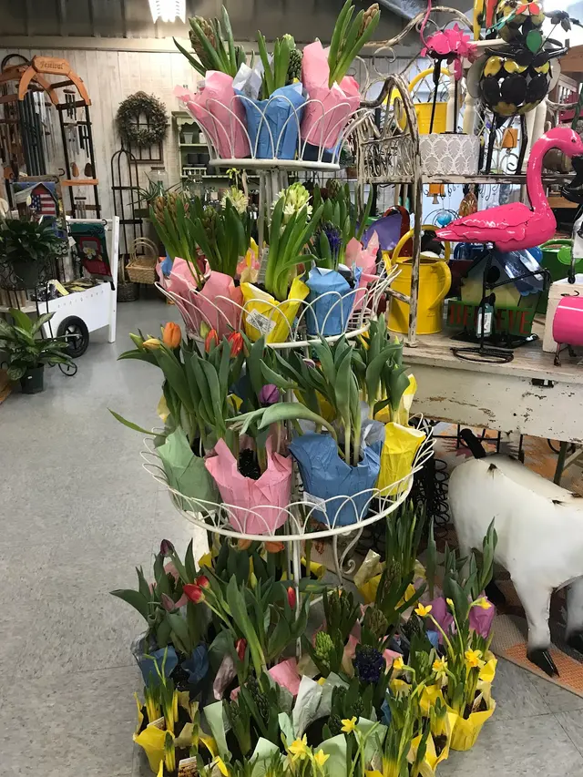 Starting Gardens — photo from the business 5