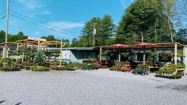 Starting Gardens — photo from the business 6