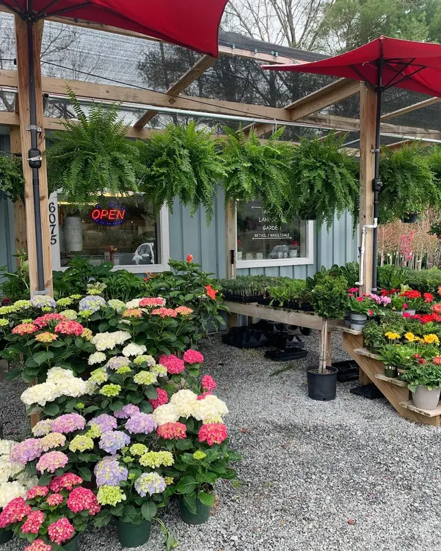 Starting Gardens — photo from the business 2