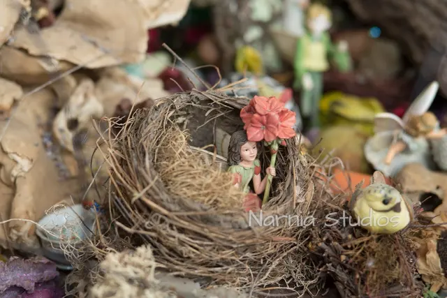 Narnia Studios — photo from the business 8