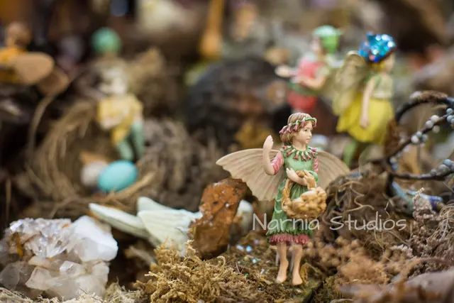 Narnia Studios — photo from the business 2