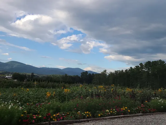 Linda's Plants & Shrubs — photo from the business 8