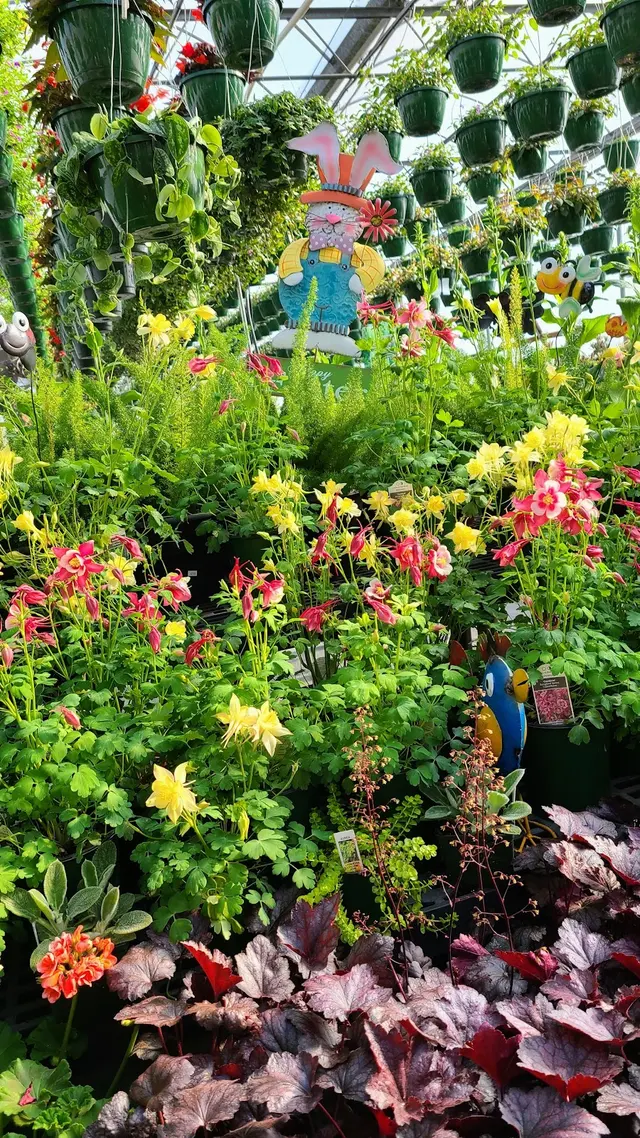 Linda's Plants & Shrubs — photo from the business 11