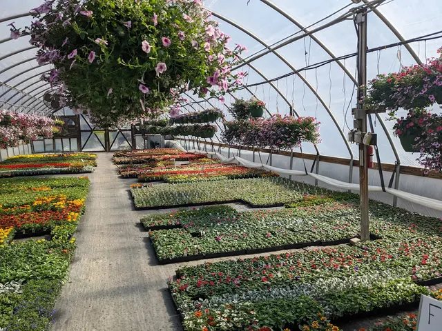 Linda's Plants & Shrubs — customer photo 4