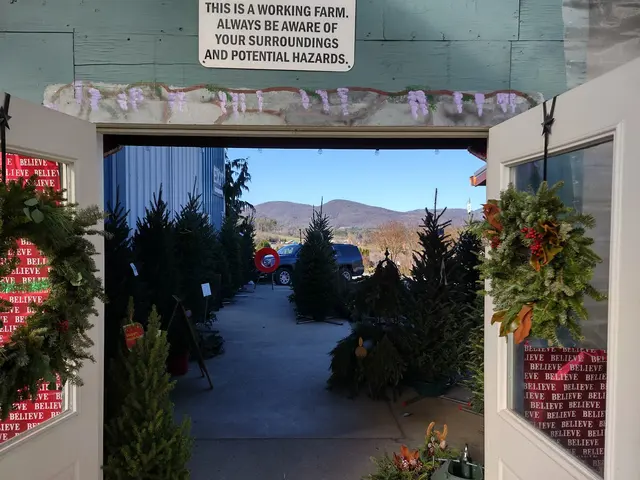 Linda's Plants & Shrubs — customer photo 1