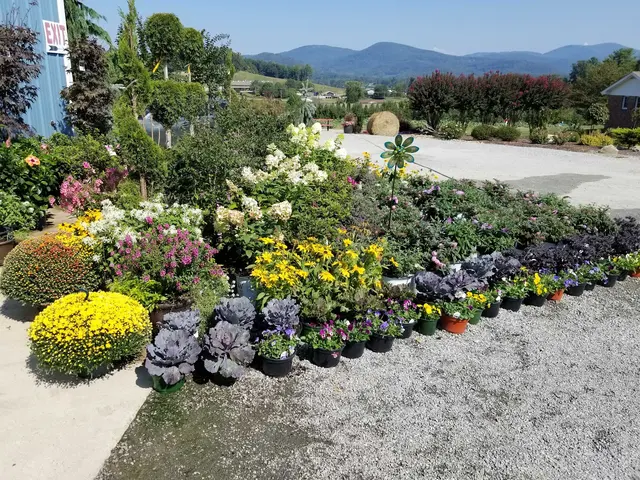 Linda's Plants & Shrubs — photo from the business 7
