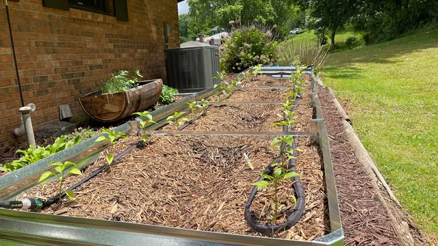 Smokey Park Nursery & Landscape Design Center — customer photo 9