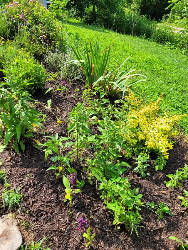 Smokey Park Nursery & Landscape Design Center — customer photo 2