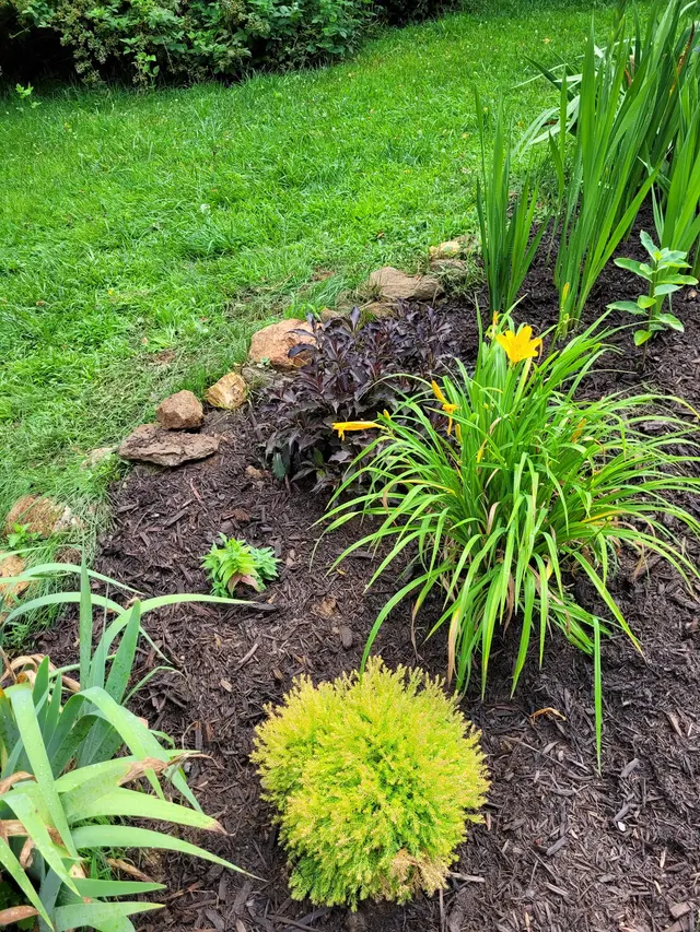 Smokey Park Nursery & Landscape Design Center — customer photo 5