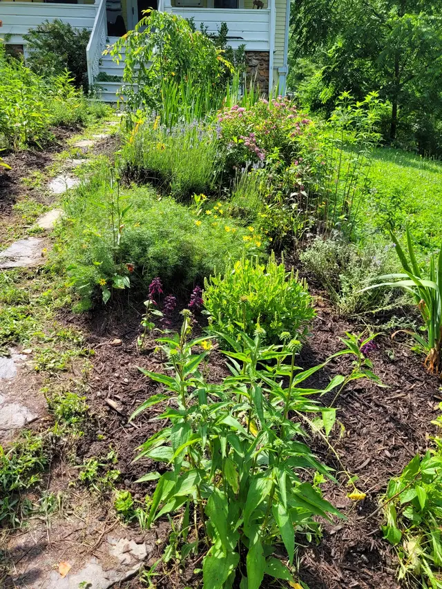 Smokey Park Nursery & Landscape Design Center — customer photo 8