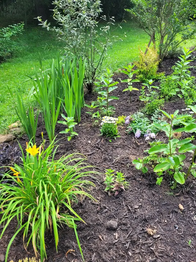 Smokey Park Nursery & Landscape Design Center — customer photo 6