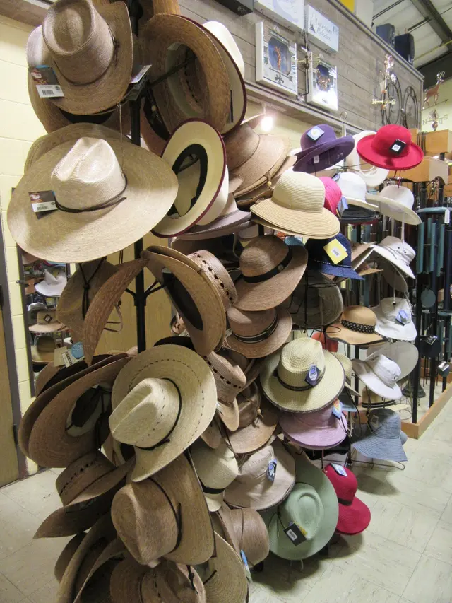 Jesse Israel & Sons Nursery & Garden Center — photo from the business 4