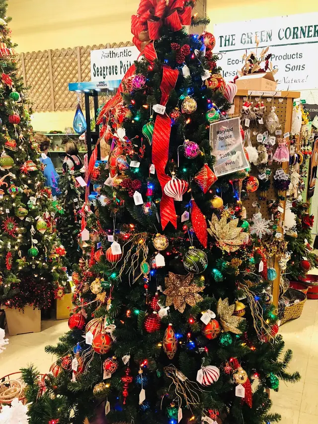 Jesse Israel & Sons Nursery & Garden Center — photo from the business 3