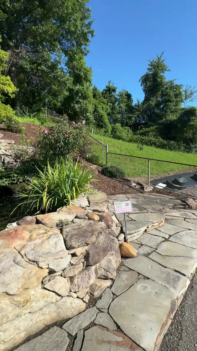 Customer photo of work by Jesse Israel & Sons Nursery & Garden Center, from Apoorva Neelabh's review