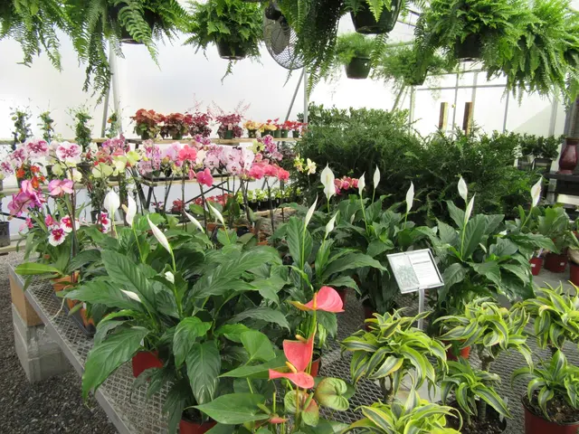 Jesse Israel & Sons Nursery & Garden Center — photo from the business 5