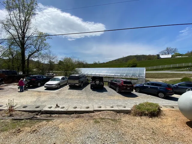 Henn's Plant Farm — customer photo 8