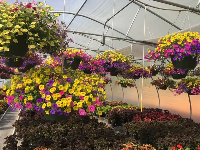 Henn's Plant Farm — photo from the business 2