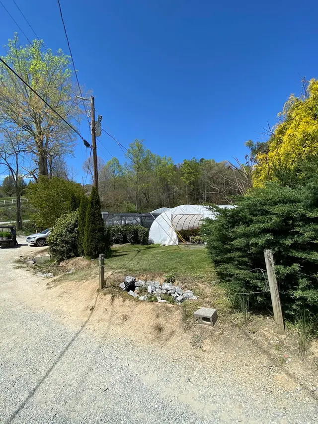 Henn's Plant Farm — customer photo 9