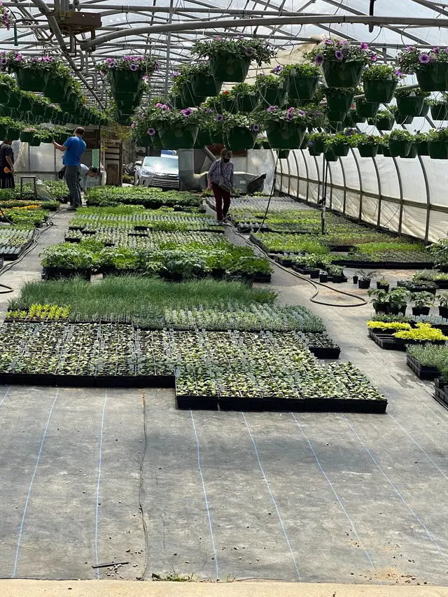 Henn's Plant Farm — customer photo 10