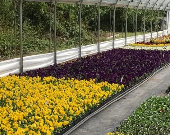 Henn's Plant Farm — photo from the business 3