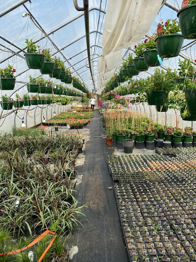 Henn's Plant Farm — customer photo 1