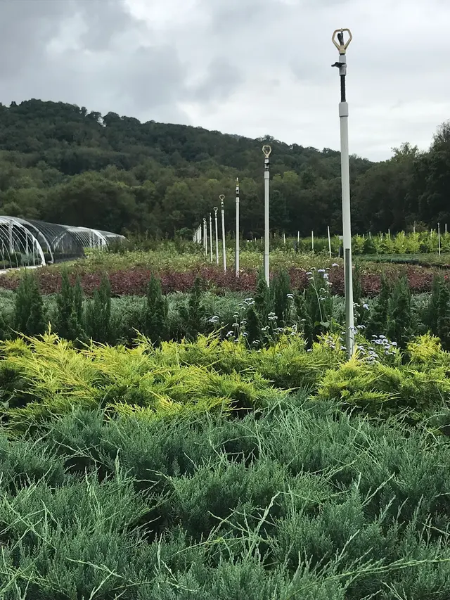 Henn's Plant Farm — photo from the business 5
