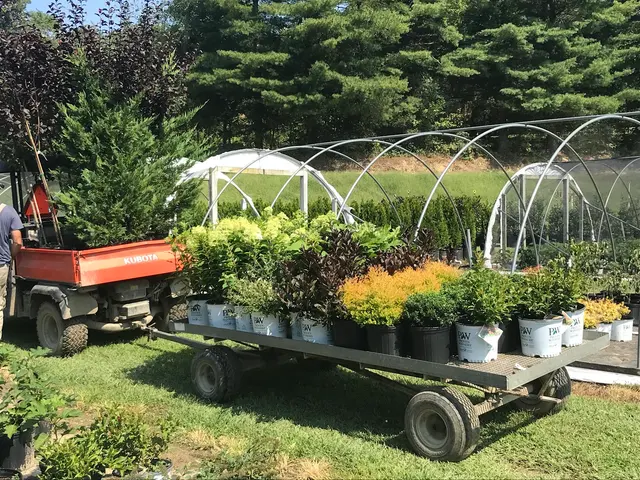 Henn's Plant Farm — photo from the business 4