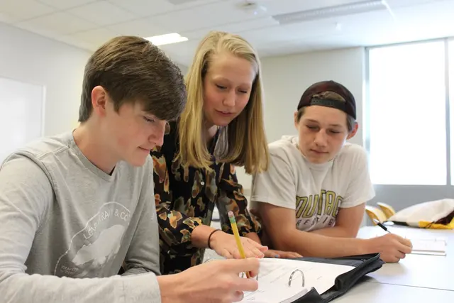 Ivy Tutors Network — photo from the business 4