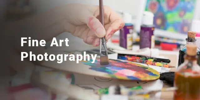Vector Design — photo from the business 12