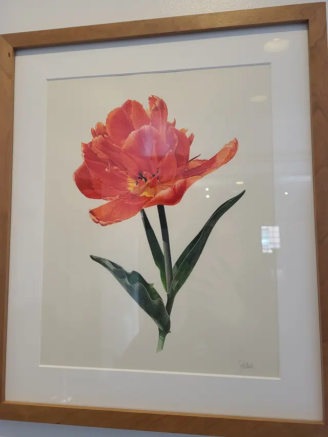 Customer photo of work by Society of Illustrators, from Siobhan Odonnell's review