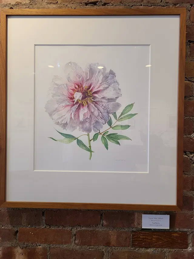 Customer photo of work by Society of Illustrators, from Siobhan Odonnell's review