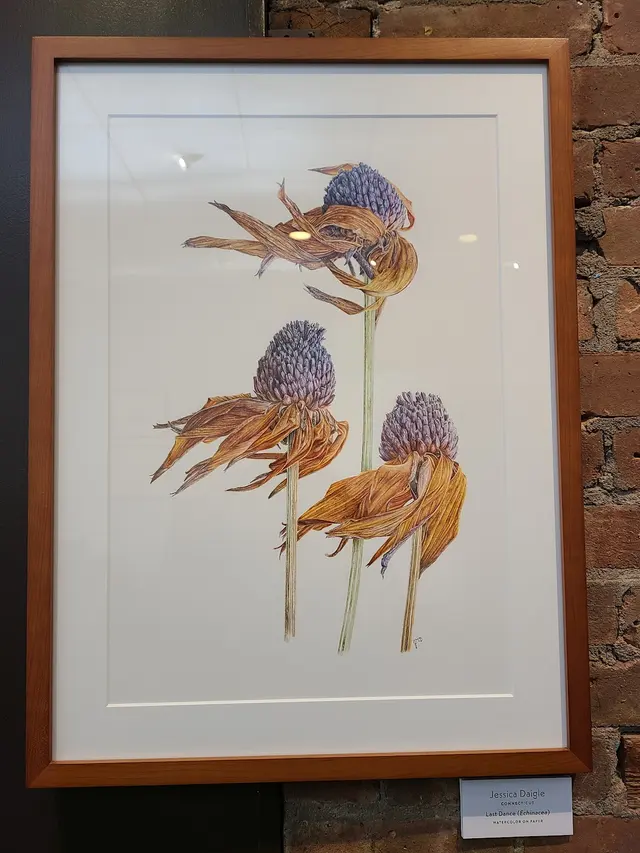 Customer photo of work by Society of Illustrators, from Siobhan Odonnell's review