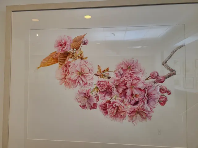 Customer photo of work by Society of Illustrators, from Siobhan Odonnell's review