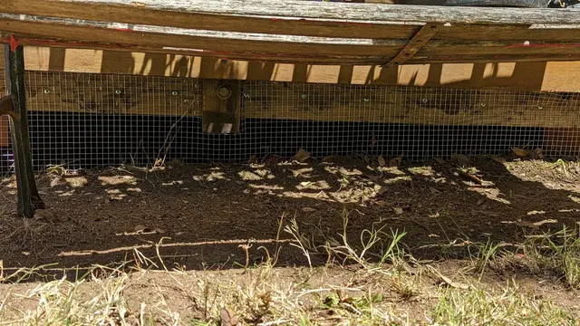 Ashe Animal Control — photo from the business 4