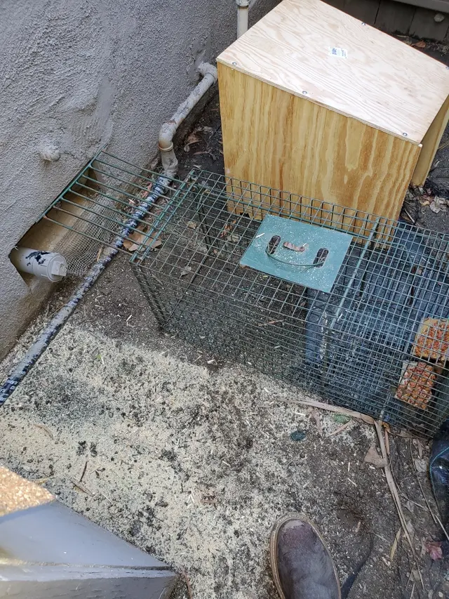 Ashe Animal Control — photo from the business 9