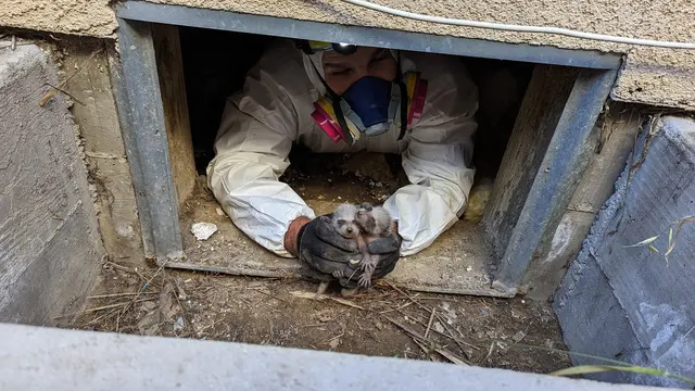Ashe Animal Control — photo from the business 6