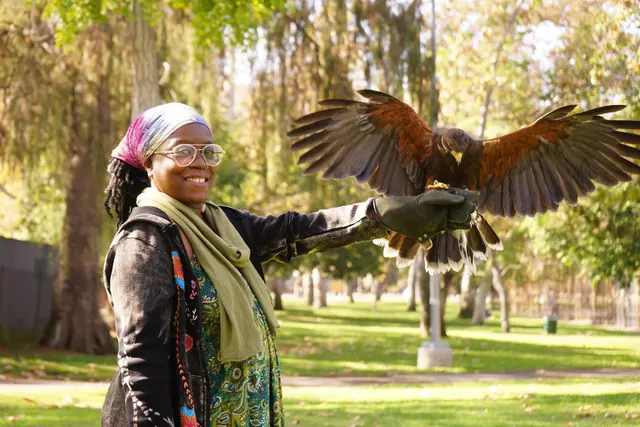 Hawk On Hand Falconry — photo from the business 5