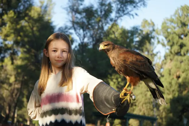 Hawk On Hand Falconry — photo from the business 4