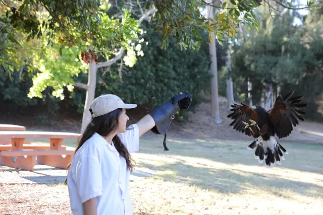 Hawk On Hand Falconry — customer photo 10