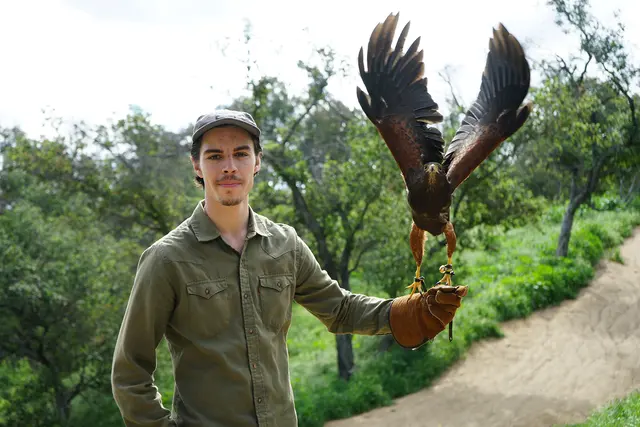 Hawk On Hand Falconry — photo from the business 2