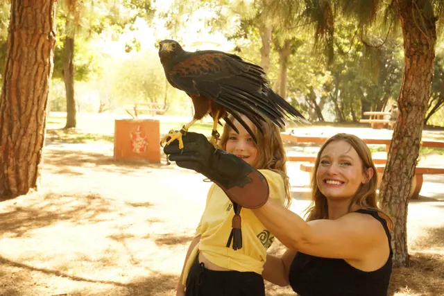 Hawk On Hand Falconry — customer photo 11