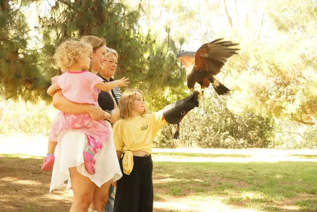 Hawk On Hand Falconry — customer photo 12