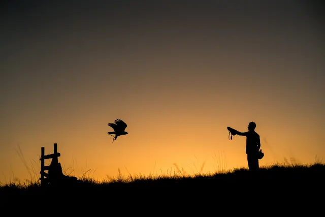 Hawk On Hand Falconry — photo from the business 1