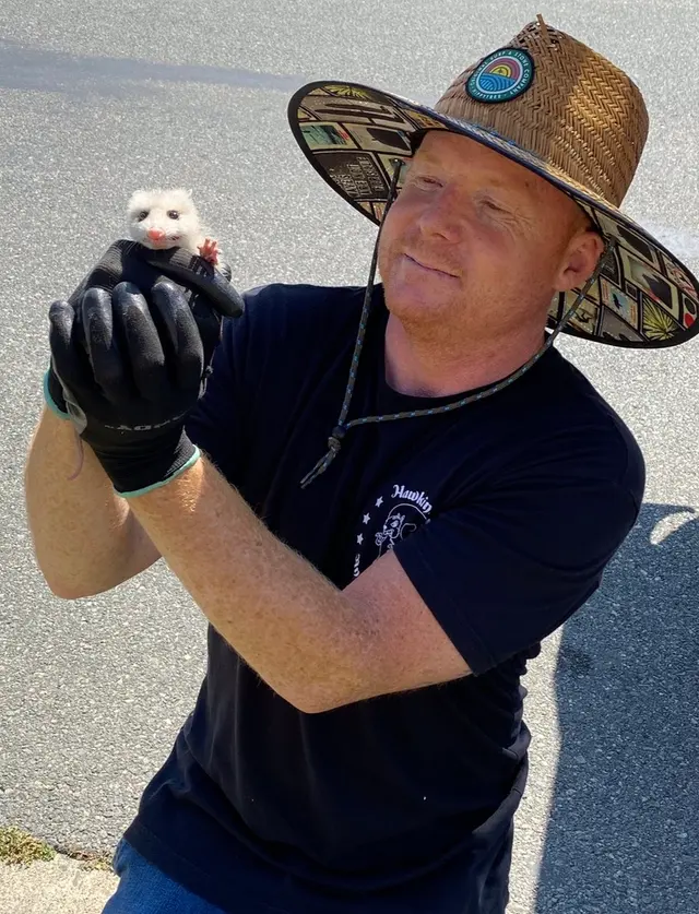 Hawkins Animal Trapping and Removal — photo from the business 1