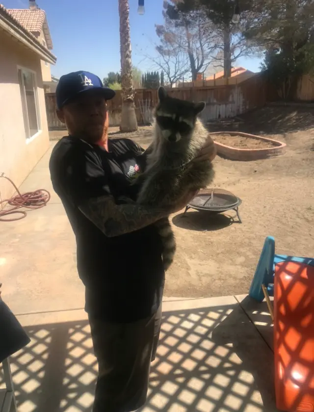 Hawkins Animal Trapping and Removal — photo from the business 9