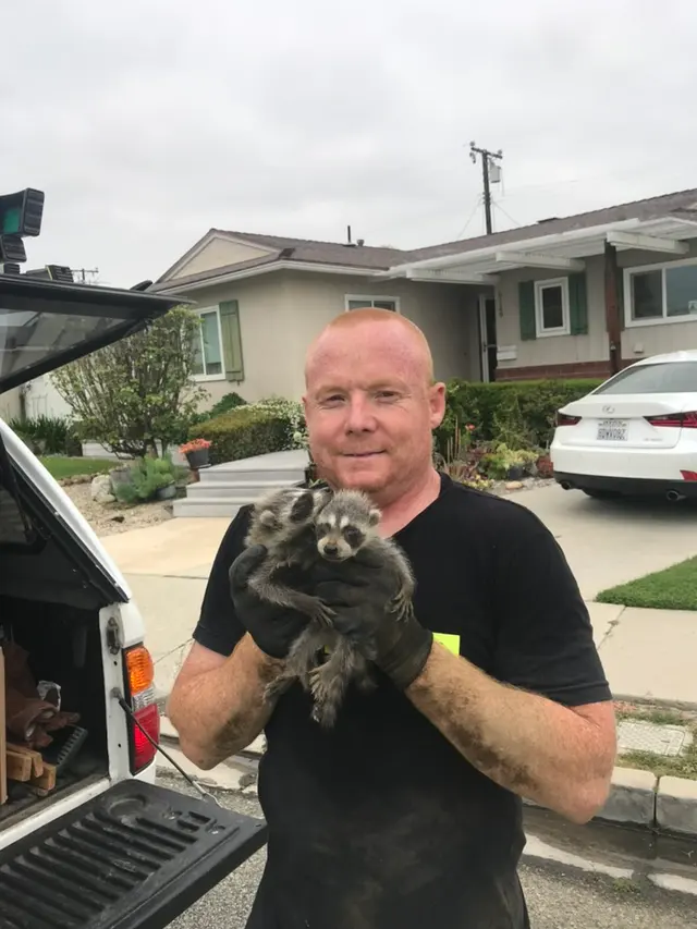 Hawkins Animal Trapping and Removal — photo from the business 12