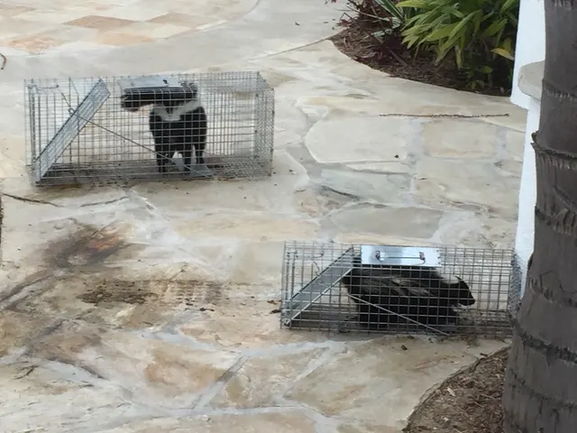 Hawkins Animal Trapping and Removal — photo from the business 8