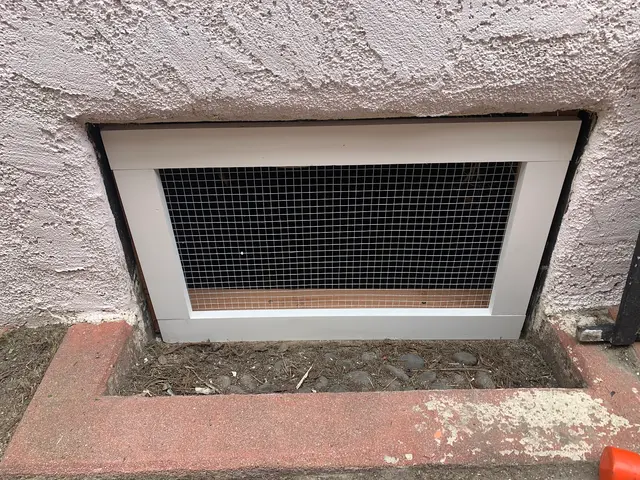Hawkins Animal Trapping and Removal — photo from the business 11